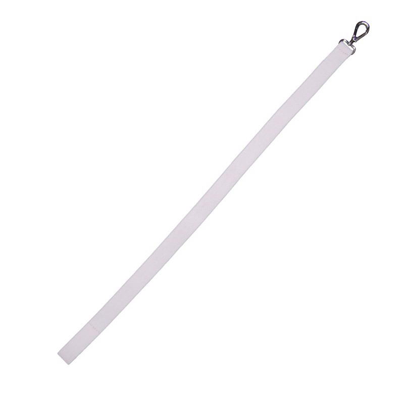 Sword Sling