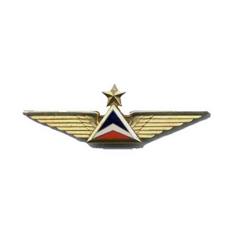Metal Wings Badges